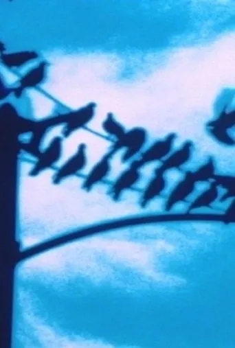 Póster de Faultlines