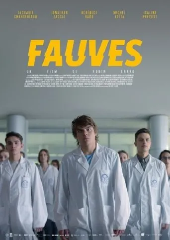 Póster de Fauves