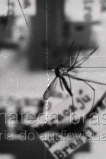 Póster de Febre Amarela II