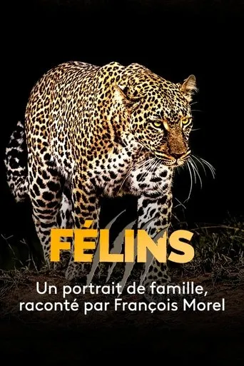 Póster de Félins
