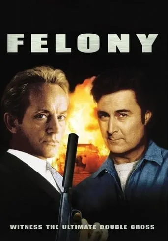 Póster de Felony