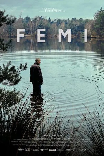 Póster de Femi
