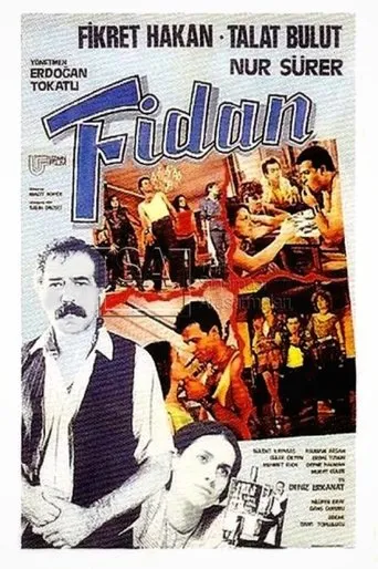 Póster de Fidan