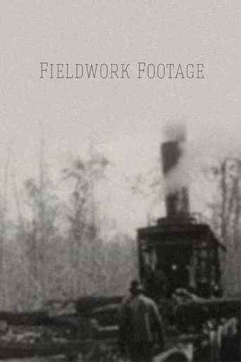 Póster de Fieldwork Footage