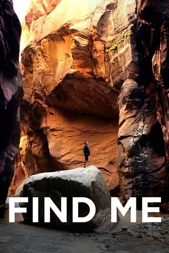 Póster de Find Me