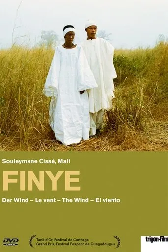 Póster de Finye