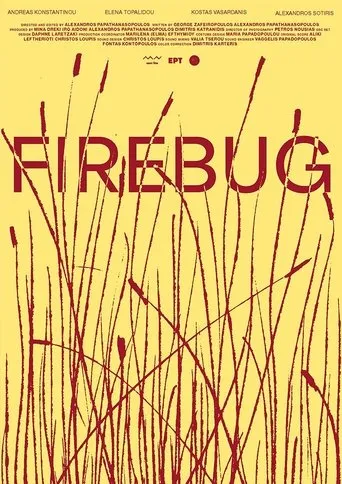 Póster de Firebug