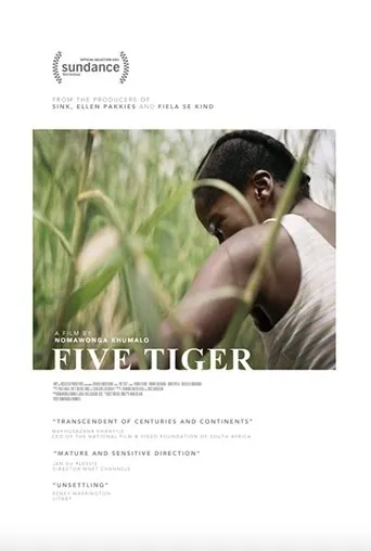Póster de Five Tiger