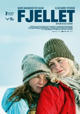 Póster de Fjellet