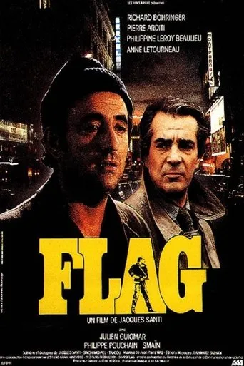 Póster de Flag