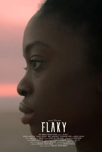 Póster de Flaky