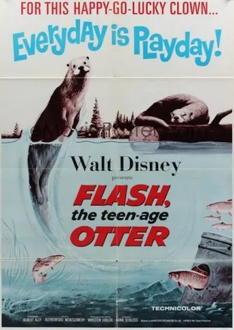 Póster de Flash, The Teenage Otter