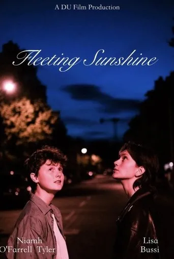 Póster de Fleeting Sunshine