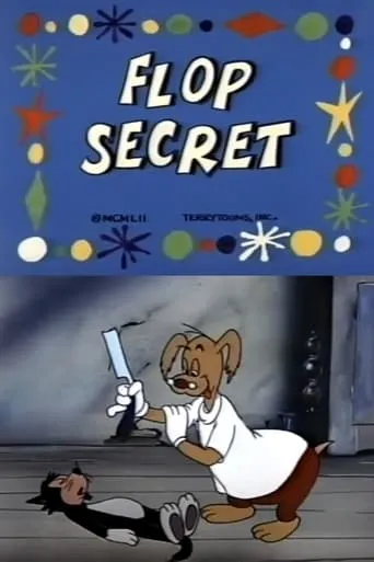 Póster de Flop Secret
