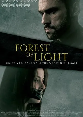 Póster de Floresta da luz