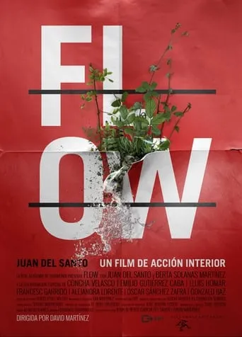 Póster de Flow