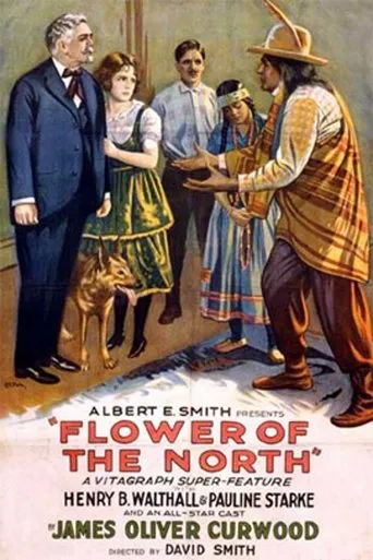 Póster de Flower of the North