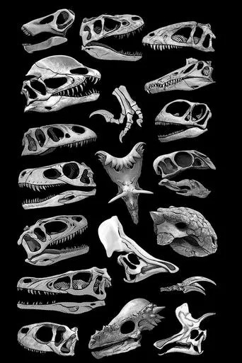 Póster de Flowervale Street