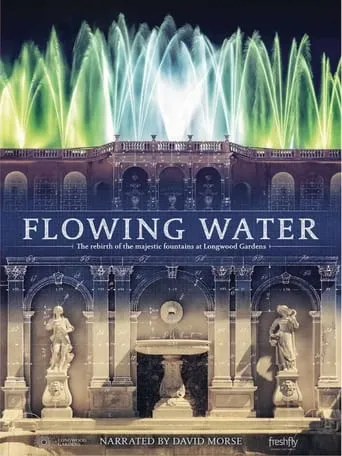 Póster de Flowing Water