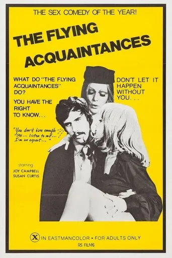 Póster de Flying Acquaintances