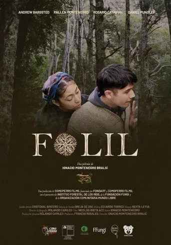Póster de Folil