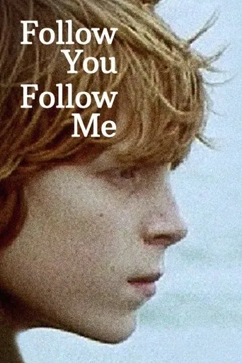 Póster de Follow You Follow Me