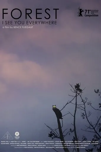 Póster de Forest - I See You Everywhere