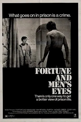 Póster de Fortune and Men's Eyes