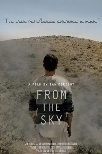 Póster de From the Sky