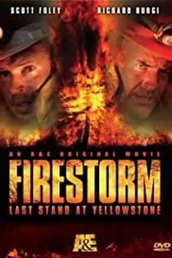 Póster de Fuego contra fuego