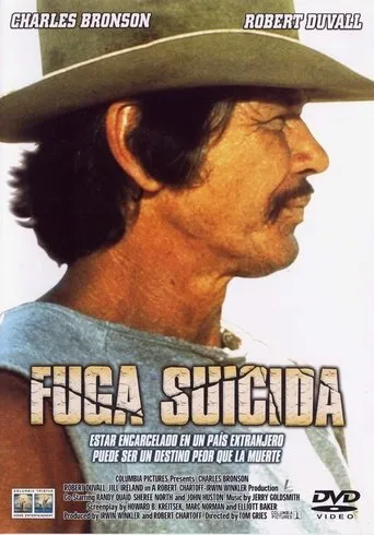 Póster de Fuga suicida