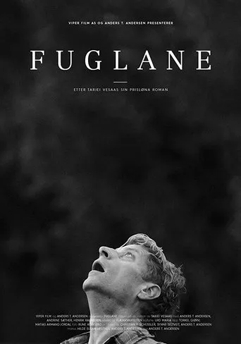 Póster de Fuglane