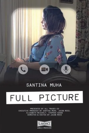 Póster de Full Picture