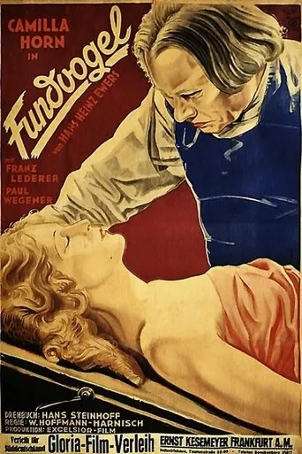 Póster de Fundvogel