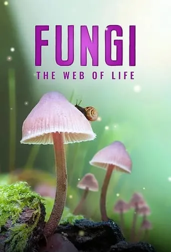 Póster de Fungi: The Web of Life