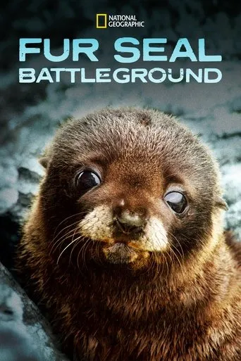 Póster de Fur Seals