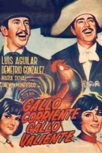 Póster de Gallo corriente, gallo valiente