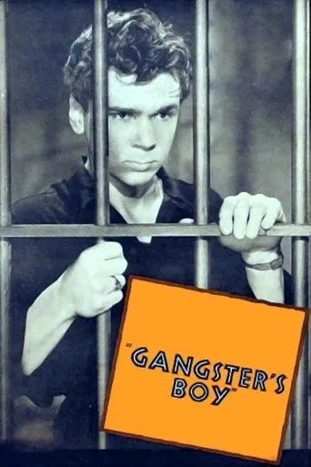 Póster de Gangster's Boy