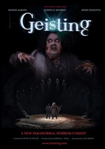 Póster de Geisting