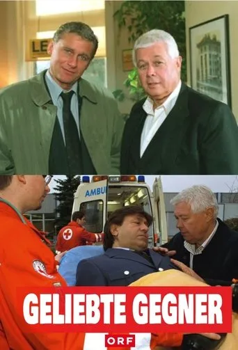 Póster de Geliebte Gegner