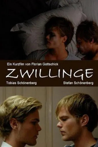 Póster de Gemelos (2010) con Sebastian Schlecht como Passerby