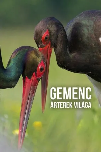 Póster de Gemenc - Árterek világa