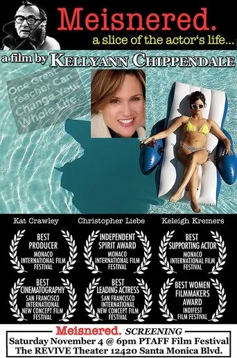 Póster de Getting Meisnered