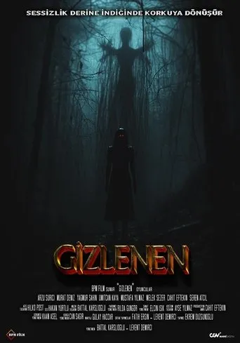 Póster de Gizlenen