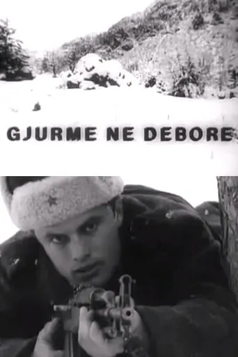 Póster de Gjurmë në dëborë