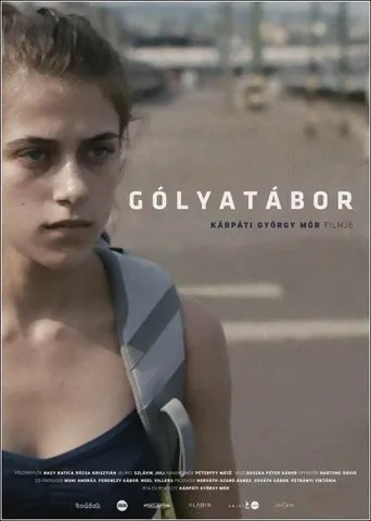 Póster de Gólyatábor