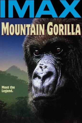 Póster de Gorilas de la montaña