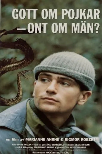 Póster de Gott om pojkar - ont om män?