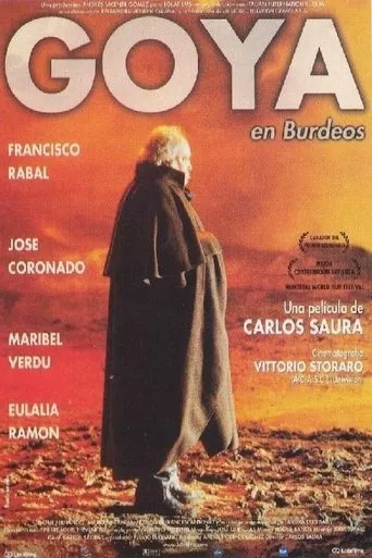 Póster de Goya en Burdeos