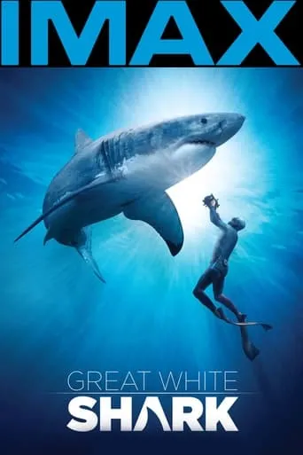 Póster de Great White Shark
